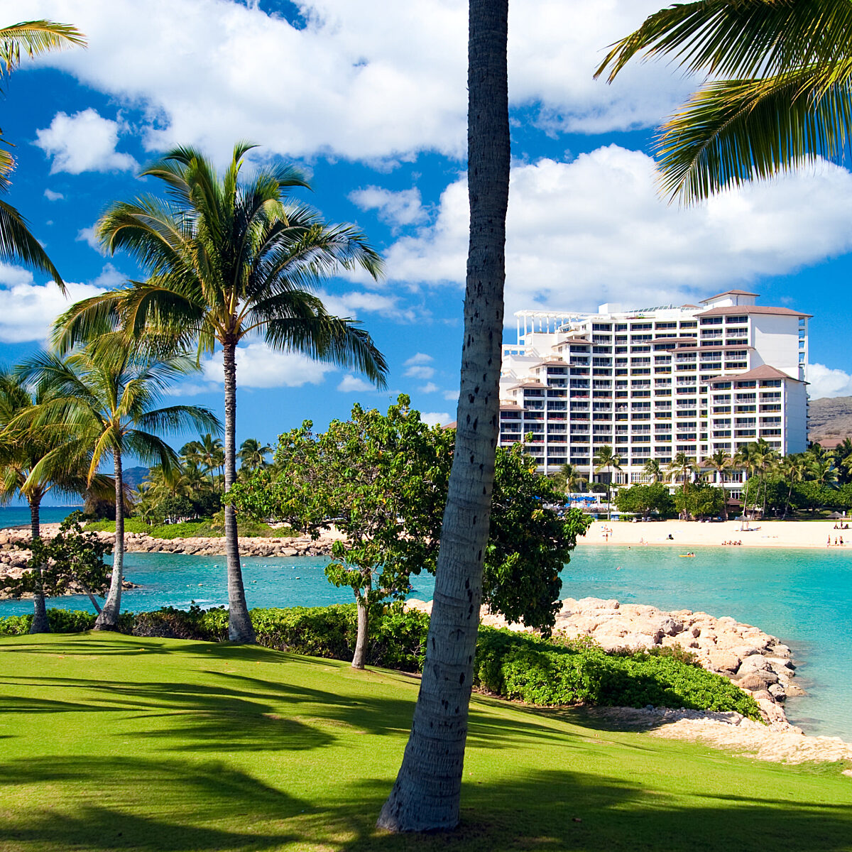 Lincoln green solicitors timeshare claims 48310231